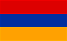 .net.am Domain Country flagLogo for .net.am Domain
