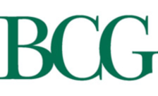 .bcg Domain