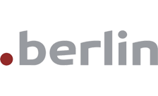 .berlin Domain Country flagLogo for .berlin Domain