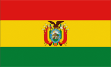 Country flagLogo for .bo Domain
