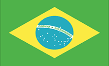 Brazilian Domain: Registering Your .COM.BR Domain