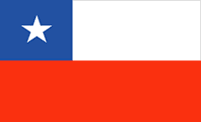 .cl Domain Country flagLogo for .cl Domain