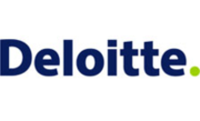 .deloitte Domain