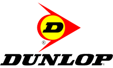 .dunlop Domain