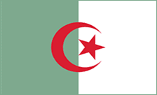 Country flagLogo for .dz Domain