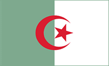 .dz Domain Country flagLogo for .dz Domain