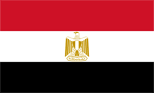.info.eg Domain Country flagLogo for .info.eg Domain