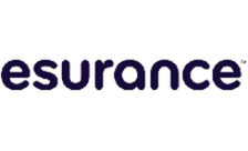 .esurance Domain