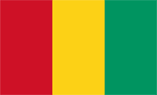 .ac.gn Domain Country flagLogo for .ac.gn Domain
