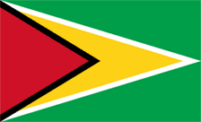 .com.gy Domain Country flagLogo for .com.gy Domain