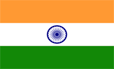 Country flagLogo for .delhi.in Domain