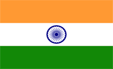 .pg.in Domain Country flagLogo for .pg.in Domain