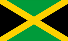 .com.jm Domain Country flagLogo for .com.jm Domain