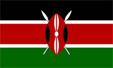 .info.ke Domain Country flagLogo for .info.ke Domain
