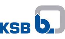 .ksb Domain