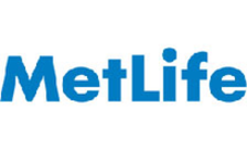 .metlife Domain