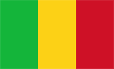 .gov.ml Domain Country flagLogo for .gov.ml Domain