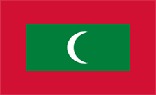 .info.mv Domain Country flagLogo for .info.mv Domain