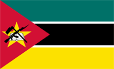 .mz Domain Country flagLogo for .mz Domain