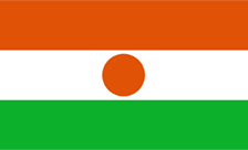.org.ne Domain Country flagLogo for .org.ne Domain