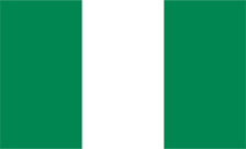 .lg.gov.ng Domain Country flagLogo for .lg.gov.ng Domain