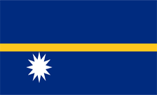 .com.nr Domain Country flagLogo for .com.nr Domain
