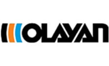 .olayangroup Domain