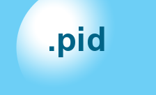 .pid Domain Country flagLogo for .pid Domain
