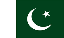 Country flagLogo for .pk Domain