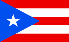 Country flagLogo for .us.pr Domain