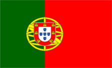 .co.pt Domain Country flagLogo for .co.pt Domain