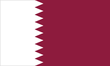 .net.qa Domain Country flagLogo for .net.qa Domain