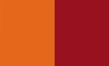 .roma Domain Country flagLogo for .roma Domain