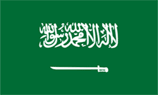 Country flagLogo for .السعودية Domain
