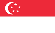 .sg Domain Country flagLogo for .sg Domain