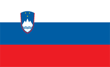 .ae.si Domain Country flagLogo for .ae.si Domain