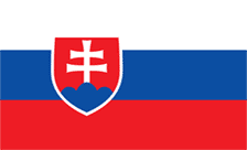 .sk Domain Country flagLogo for .sk Domain