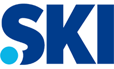 .ski Domain Country flagLogo for .ski Domain