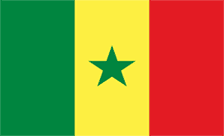 .org.sn Domain Country flagLogo for .org.sn Domain