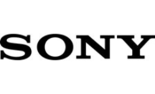 .sony Domain