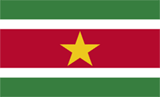 .sr Domain Country flagLogo for .sr Domain
