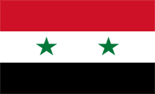 .org.sy Domain Country flagLogo for .org.sy Domain