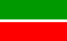 Country flagLogo for .tatar Domain