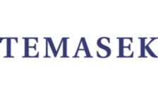 .temasek Domain