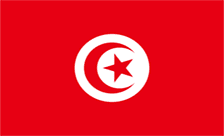 .ens.tn Domain Country flagLogo for .ens.tn Domain
