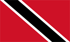 .biz.tt Domain Country flagLogo for .biz.tt Domain