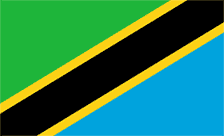 .tv.tz Domain Country flagLogo for .tv.tz Domain