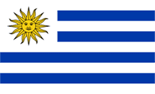 .com.uy Domain Country flagLogo for .com.uy Domain
