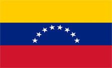 .org.ve Domain Country flagLogo for .org.ve Domain