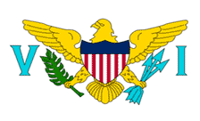 .vi Domain Country flagLogo for .vi Domain